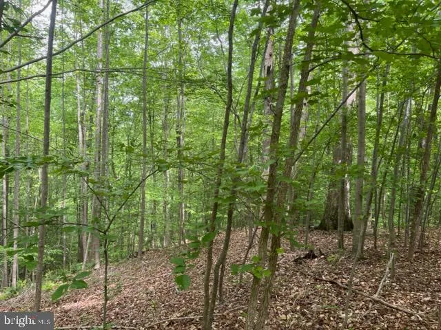 $99,950 | 7575 Mason Springs Road, Indian Head, MD 20640