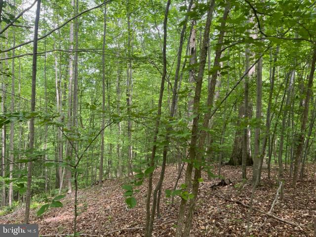 7575 Mason Springs Road Indian Head, MD 20640 - Photo 9 of 10