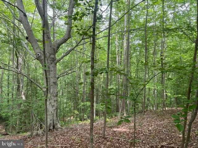 $99,950 | 7575 Mason Springs Road, Indian Head, MD 20640