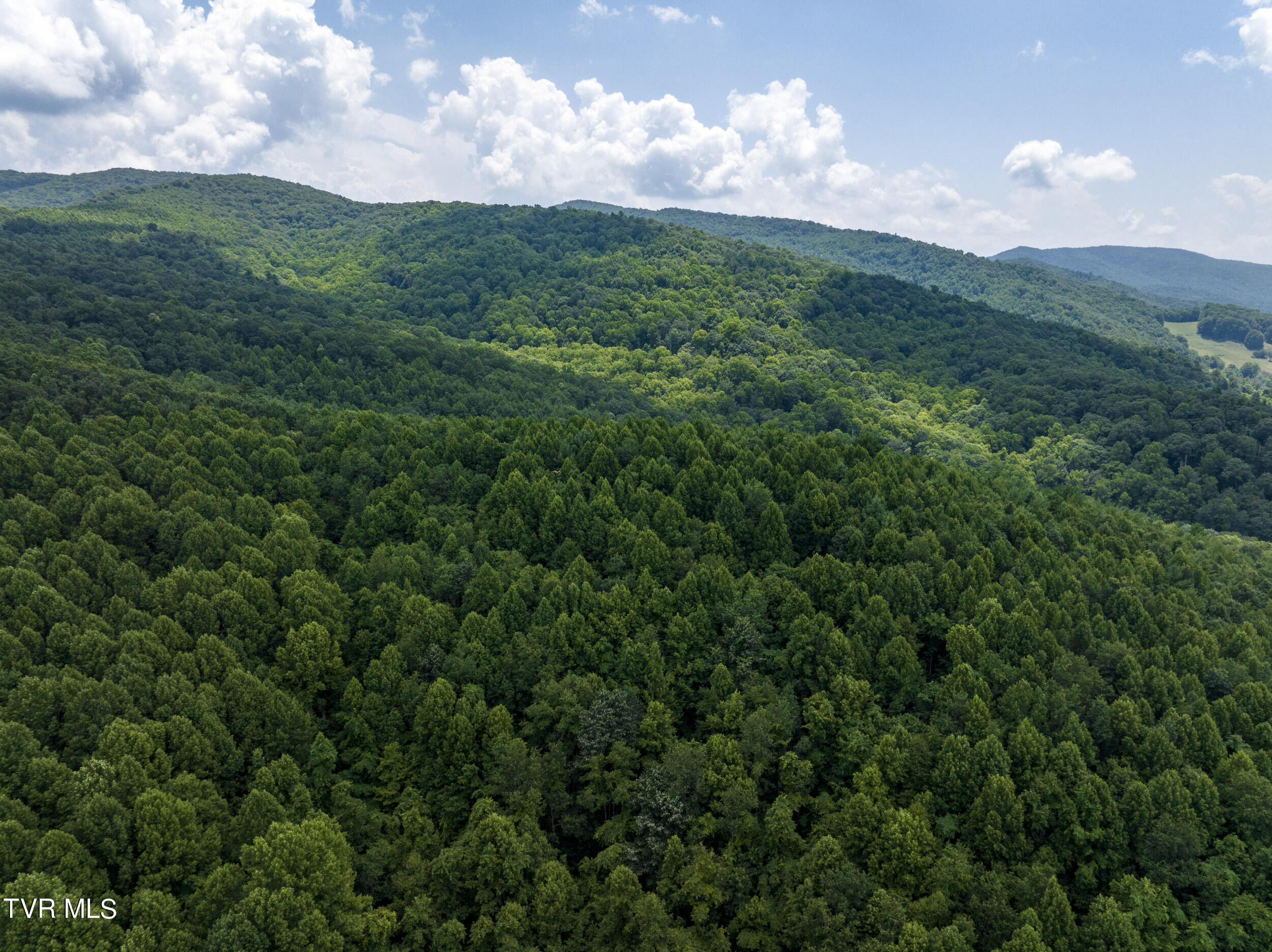 296 Earl Howard Road Shady Valley, TN 37688 - Photo 116 of 129 Earl-Aerials (26 of 41)