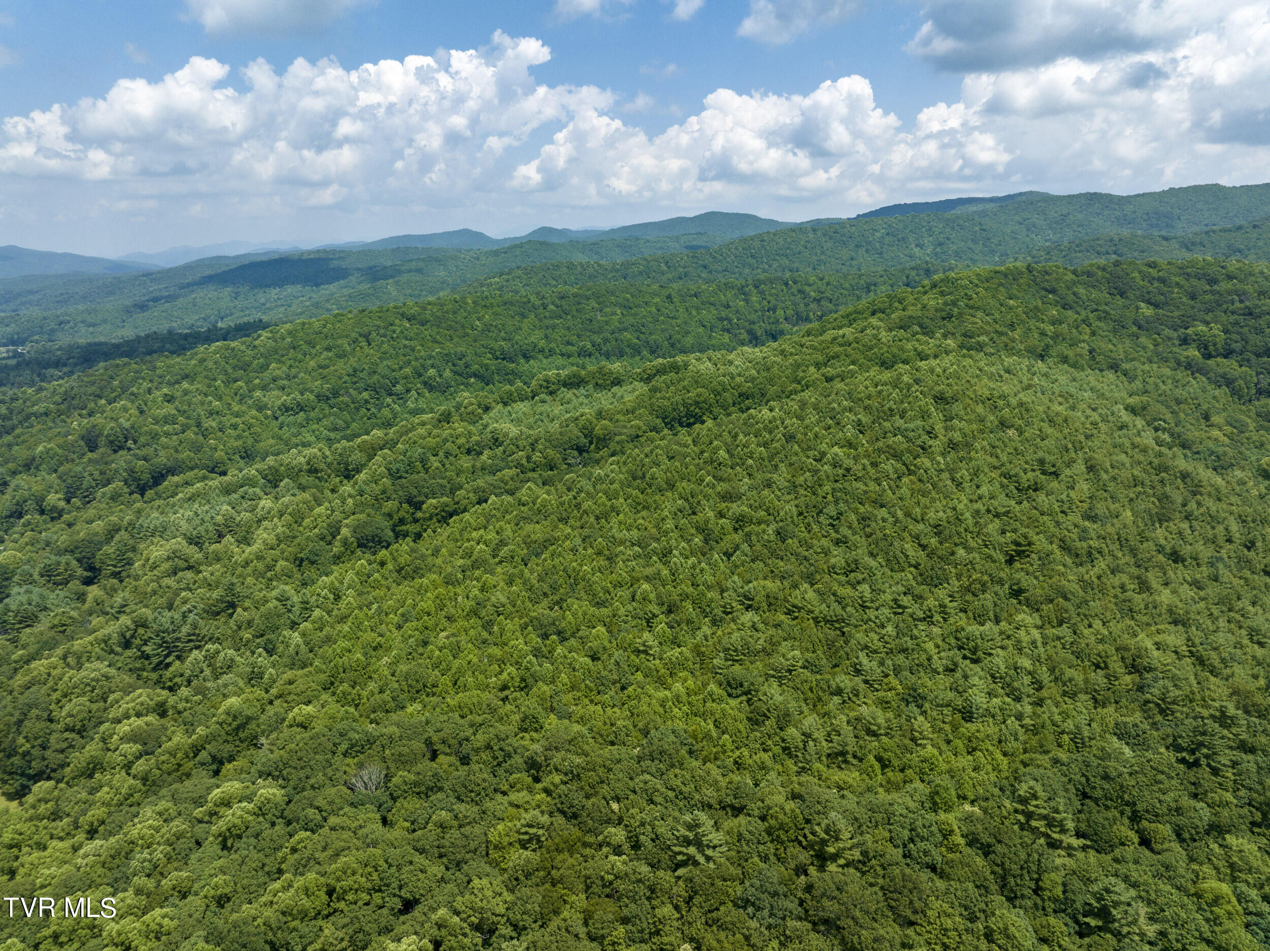 296 Earl Howard Road Shady Valley, TN 37688 - Photo 125 of 129 Earl-Aerials (37 of 41)