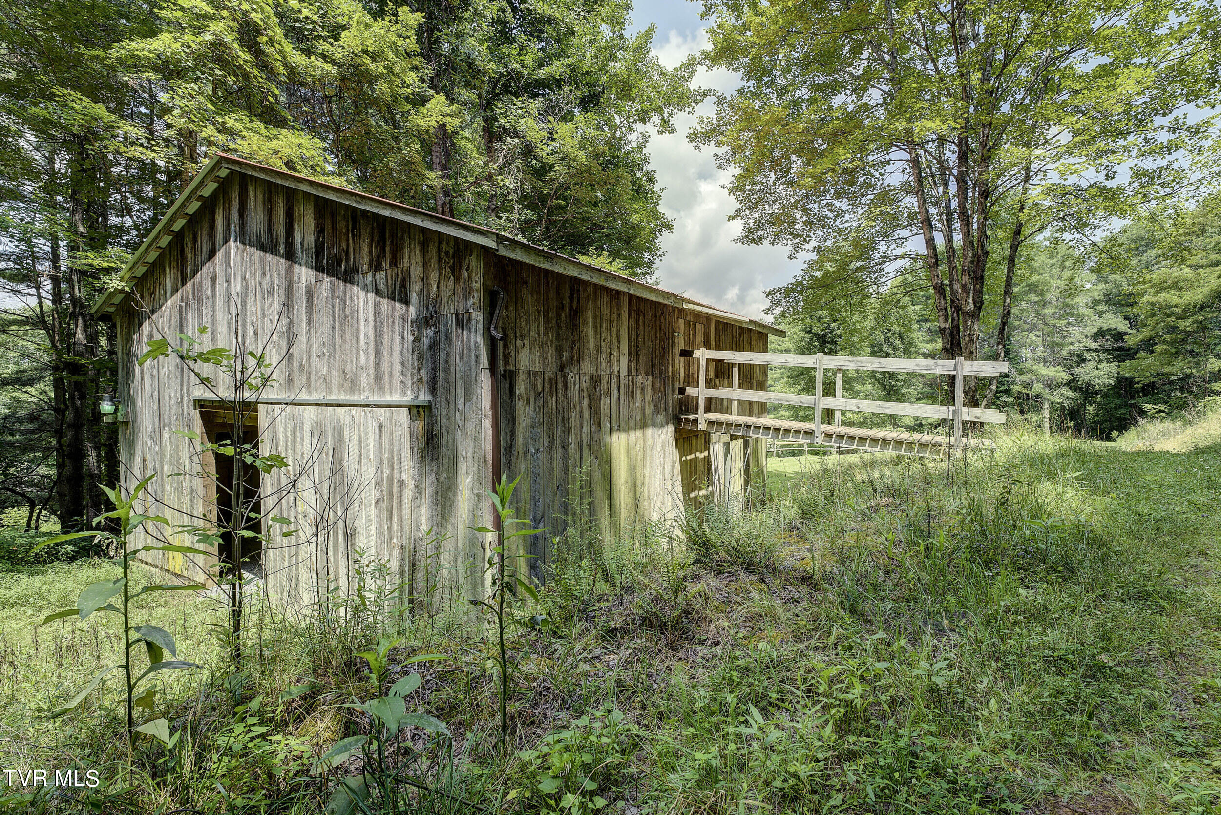 296 Earl Howard Road Shady Valley, TN 37688 - Photo 62 of 129 Earl- (102 of 105)