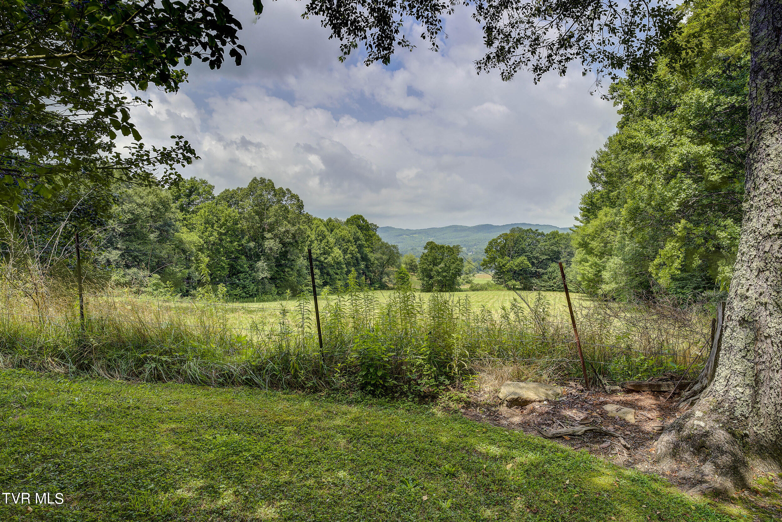 296 Earl Howard Road Shady Valley, TN 37688 - Photo 72 of 129 Earl- (66 of 105)