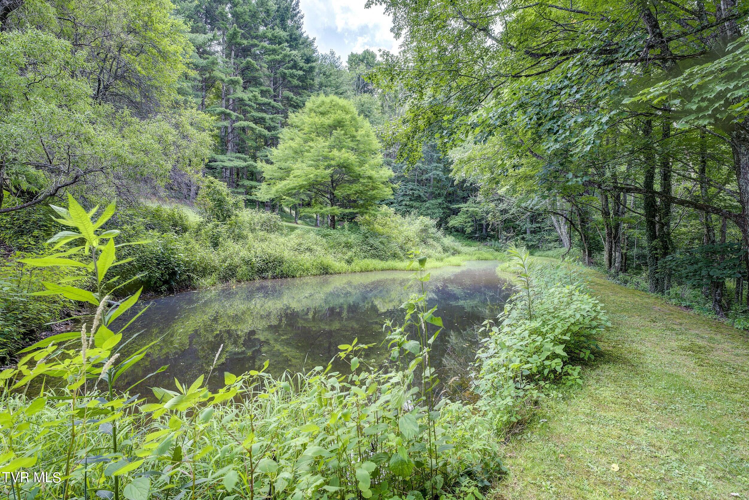 296 Earl Howard Road Shady Valley, TN 37688 - Photo 77 of 129 Earl- (72 of 105)