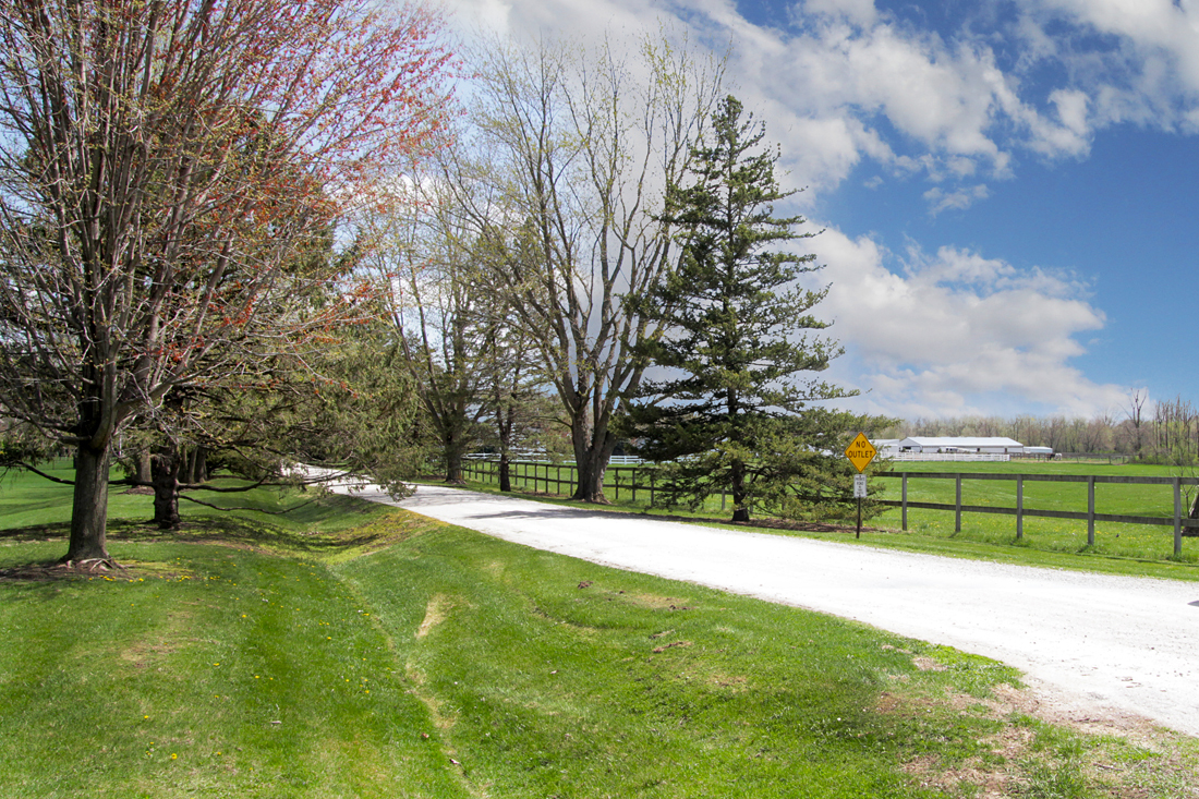 550 Marley Road New Lenox, IL 60451 - Photo 2 of 108
