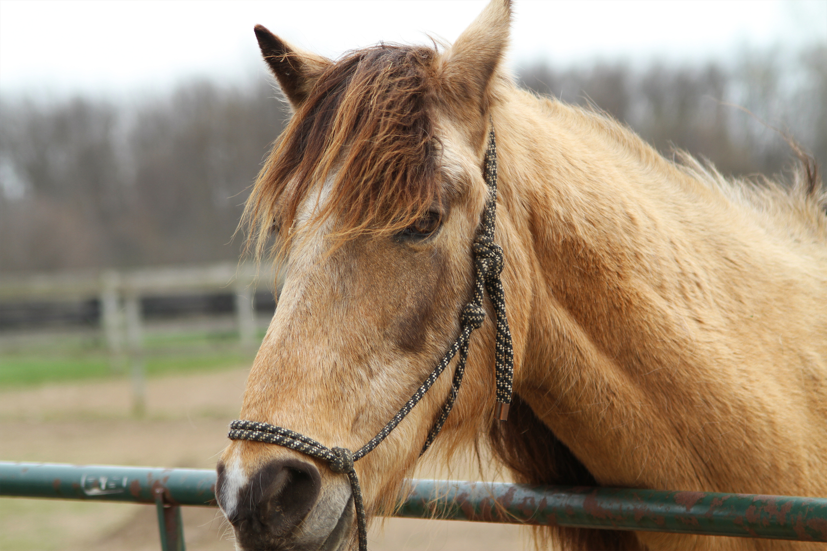 550 Marley Road New Lenox, IL 60451 - Photo 58 of 108