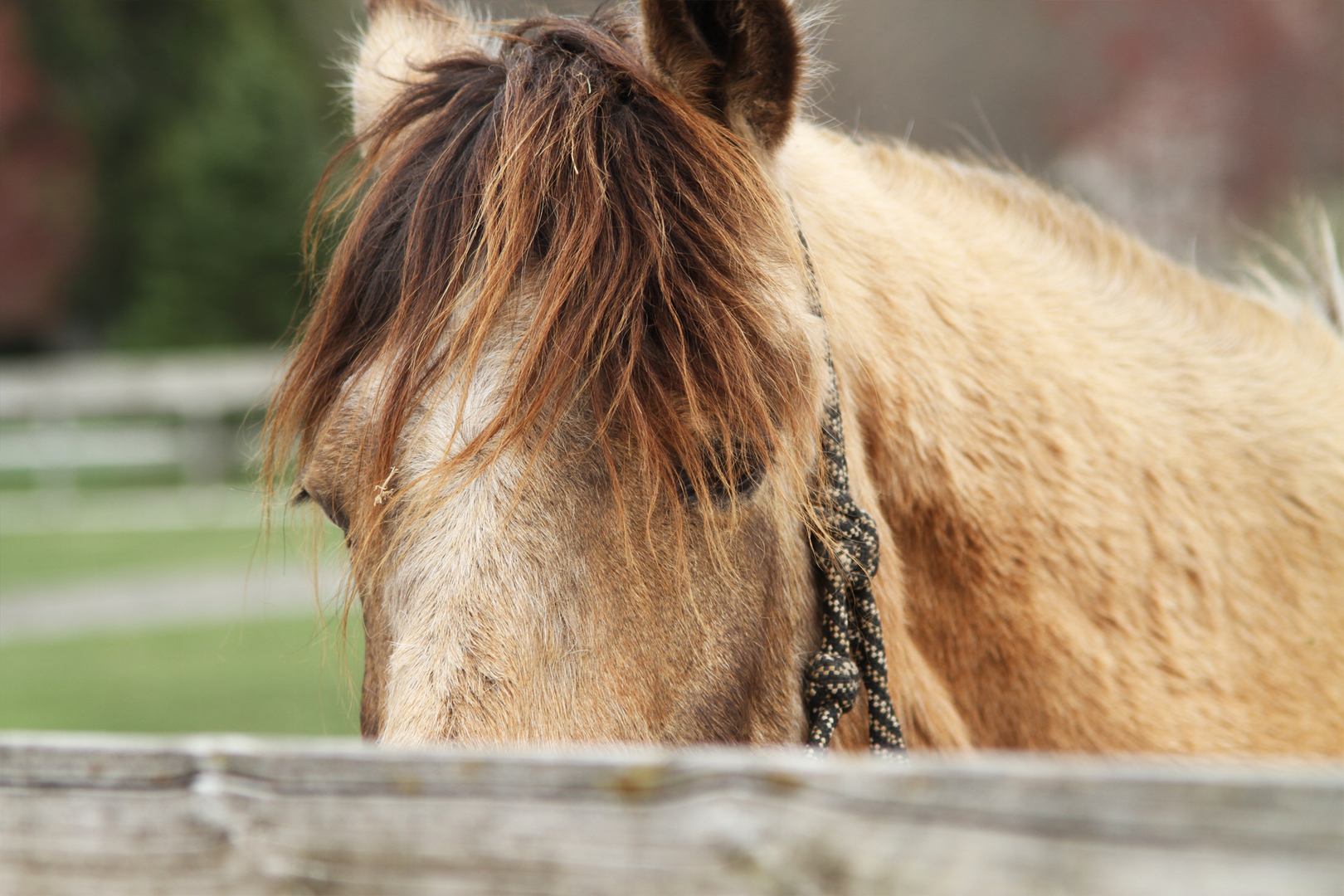 550 Marley Road New Lenox, IL 60451 - Photo 59 of 108