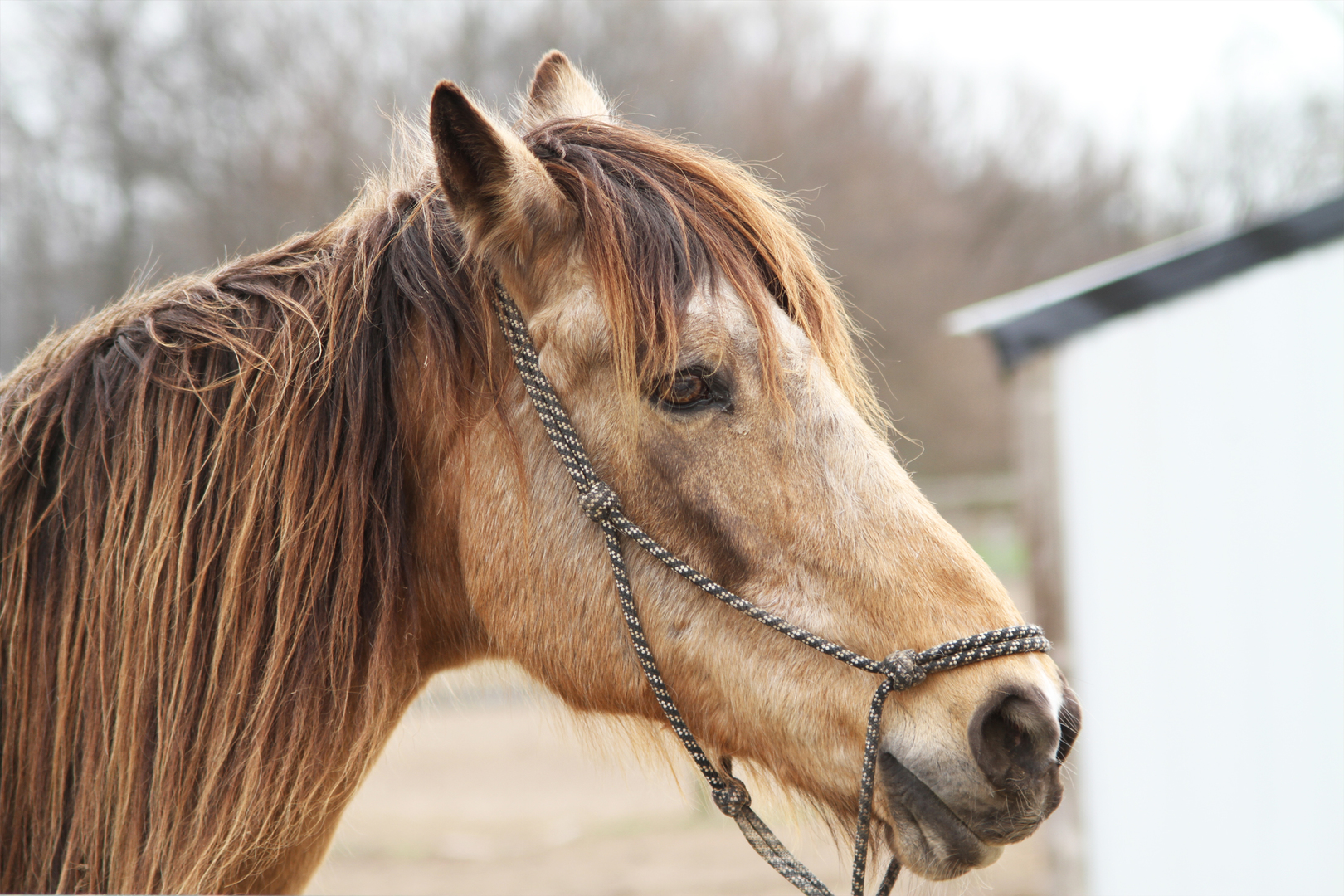 550 Marley Road New Lenox, IL 60451 - Photo 60 of 108