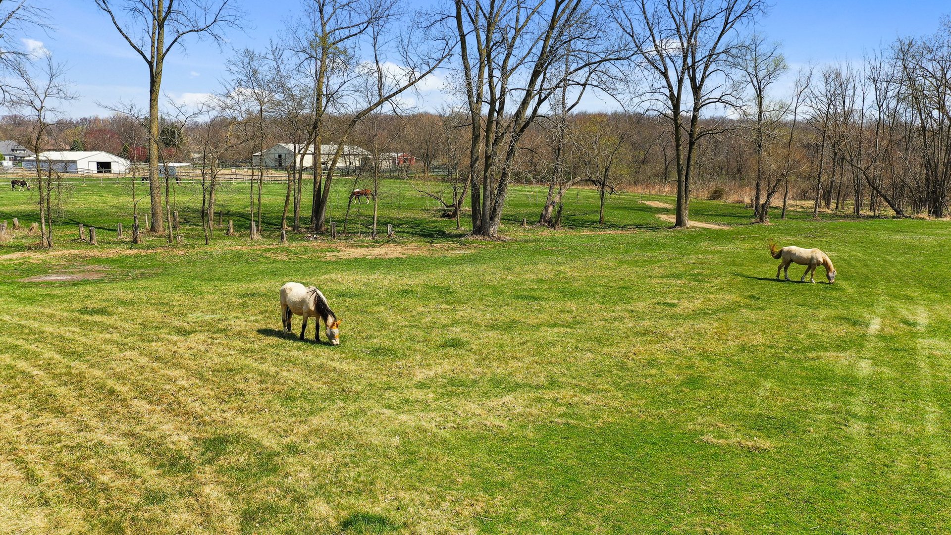 550 Marley Road New Lenox, IL 60451 - Photo 81 of 108