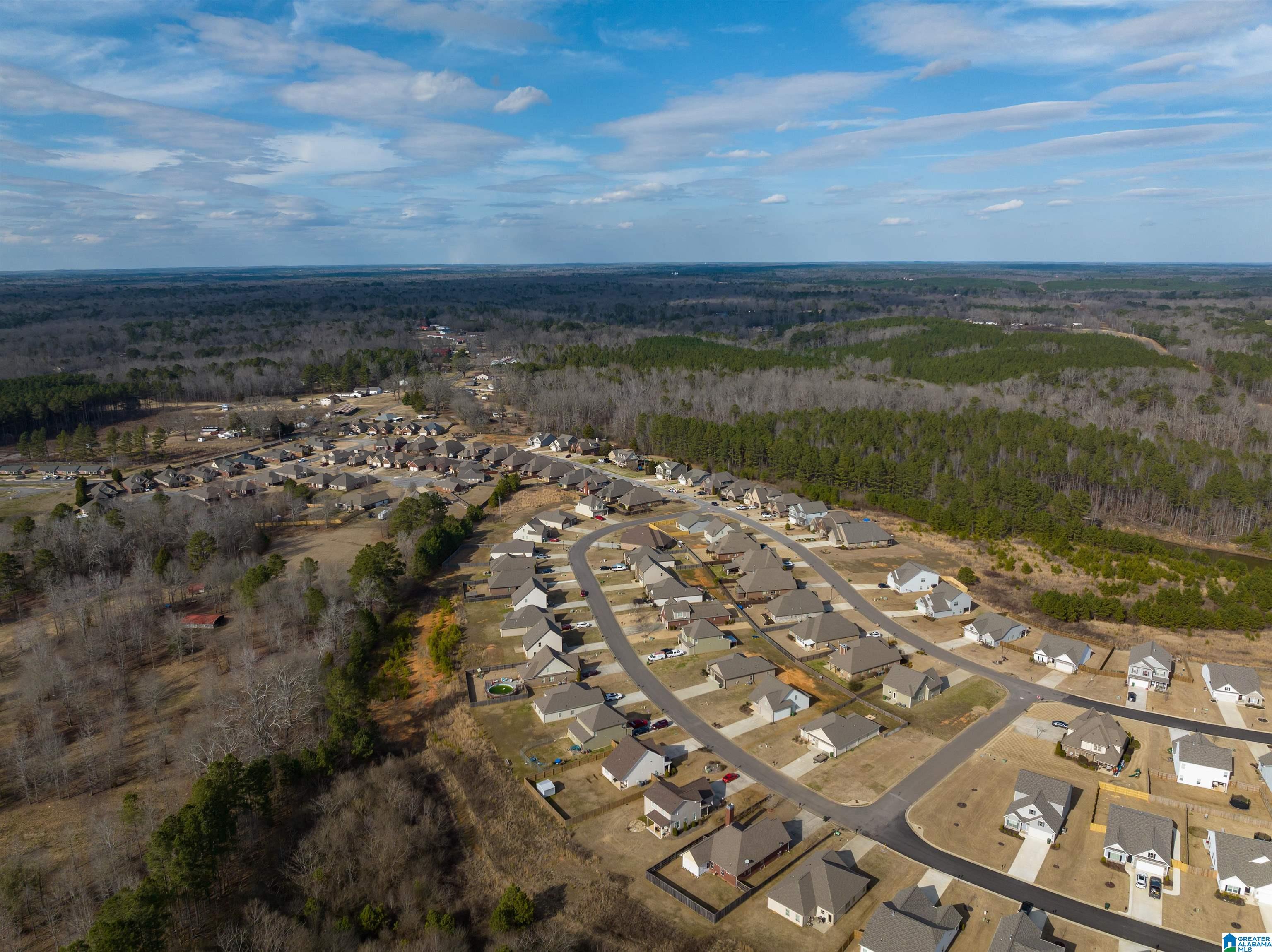 72 Christy Lane Jasper, AL 35504 - Photo 36 of 41