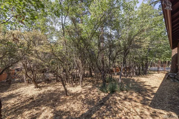 a view of a yard with trees