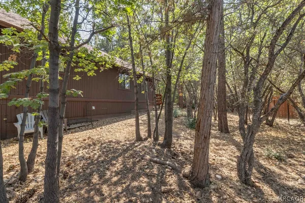 a yard with trees in the background