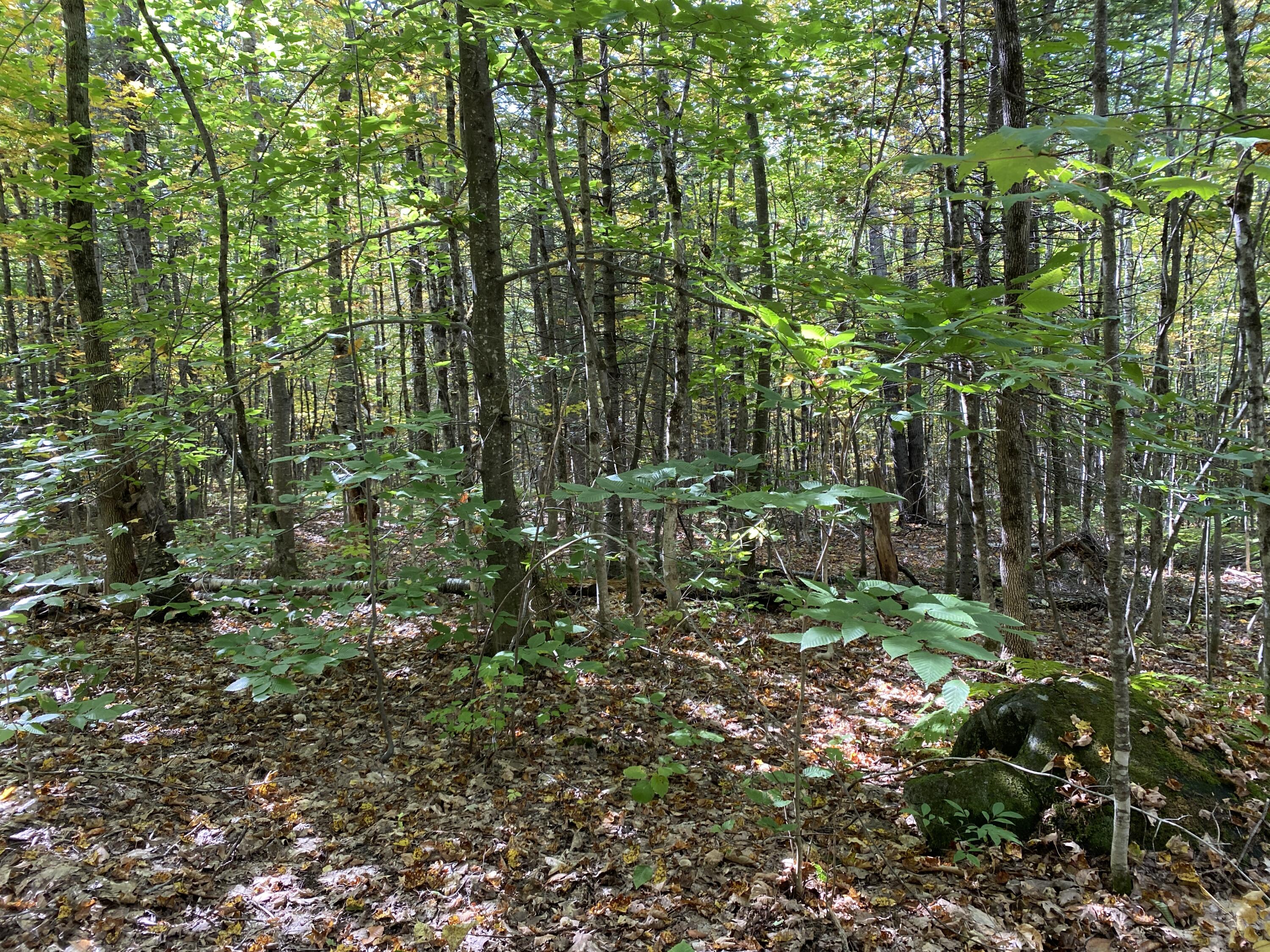 Lot 4 Stream Road Vienna, ME 04360 - Photo 7 of 9 23616BA1-D78B-4EF9-A5DE-FAED4F15F0E8