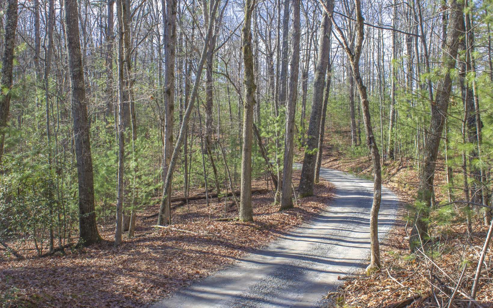 29-ac 29-ac Toccoa Farm Road Morganton, GA 30560 - Photo 1 of 1 Main View