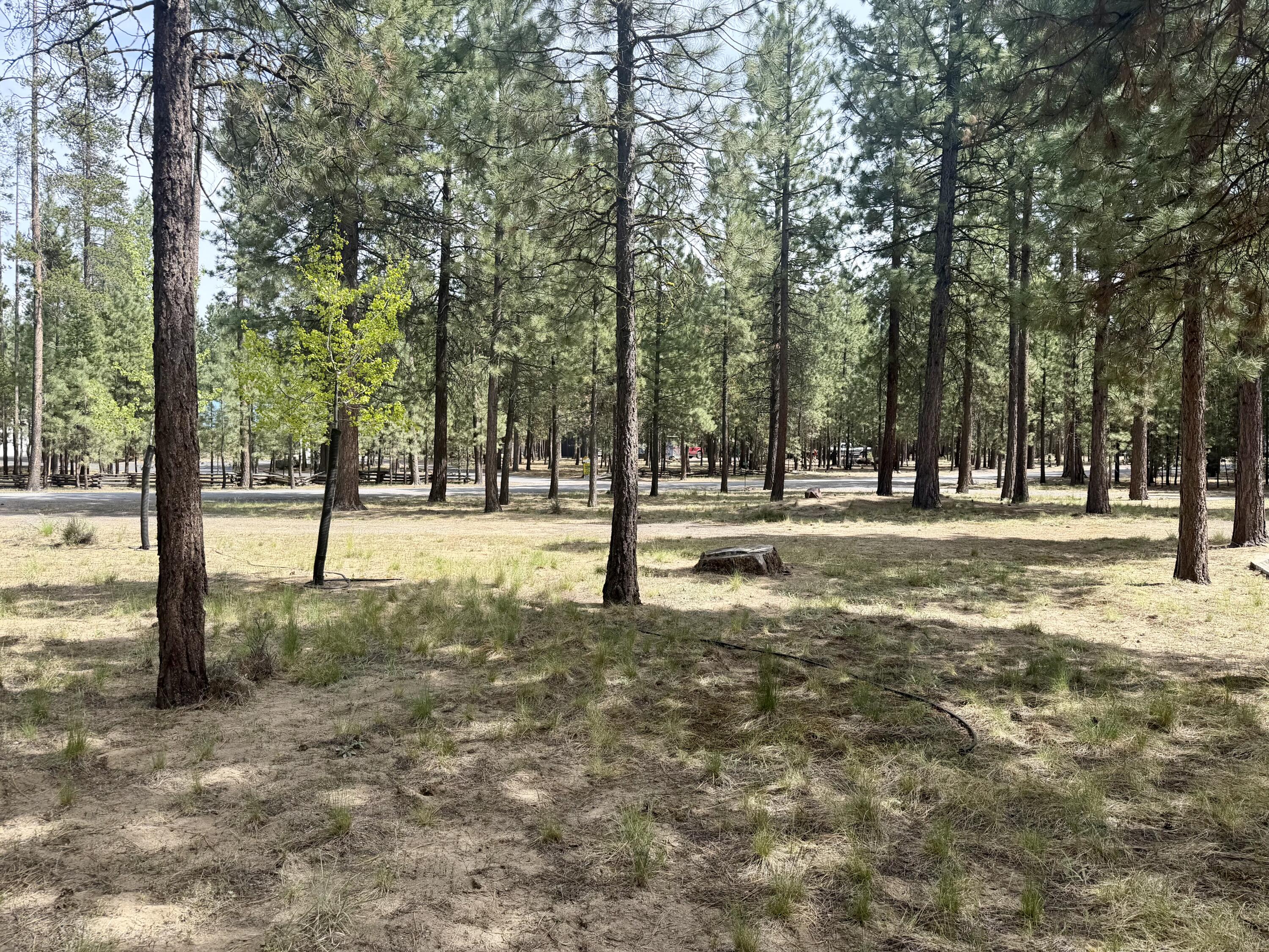 52141 Foxtail Road La Pine, OR 97739 - Photo 28 of 30 IMG_1887