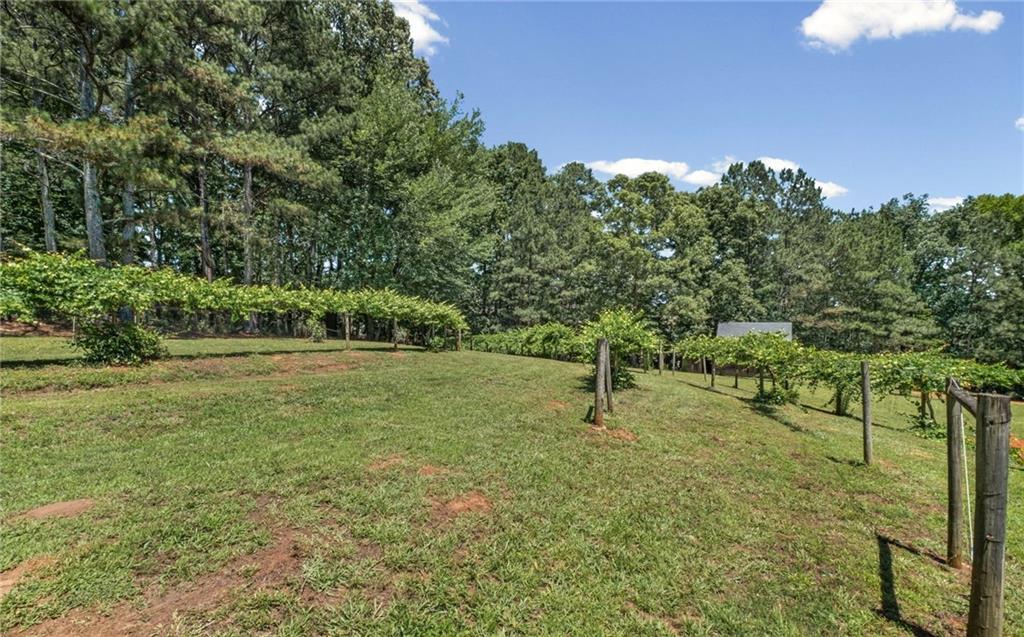 253 Charles Road Canton, GA 30115 - Photo 17 of 90