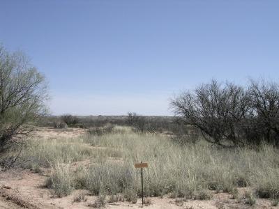 0 K-7 Road, Unit LOT C Benson, AZ 85602 - Photo 1 of 1 Gallery Image 1