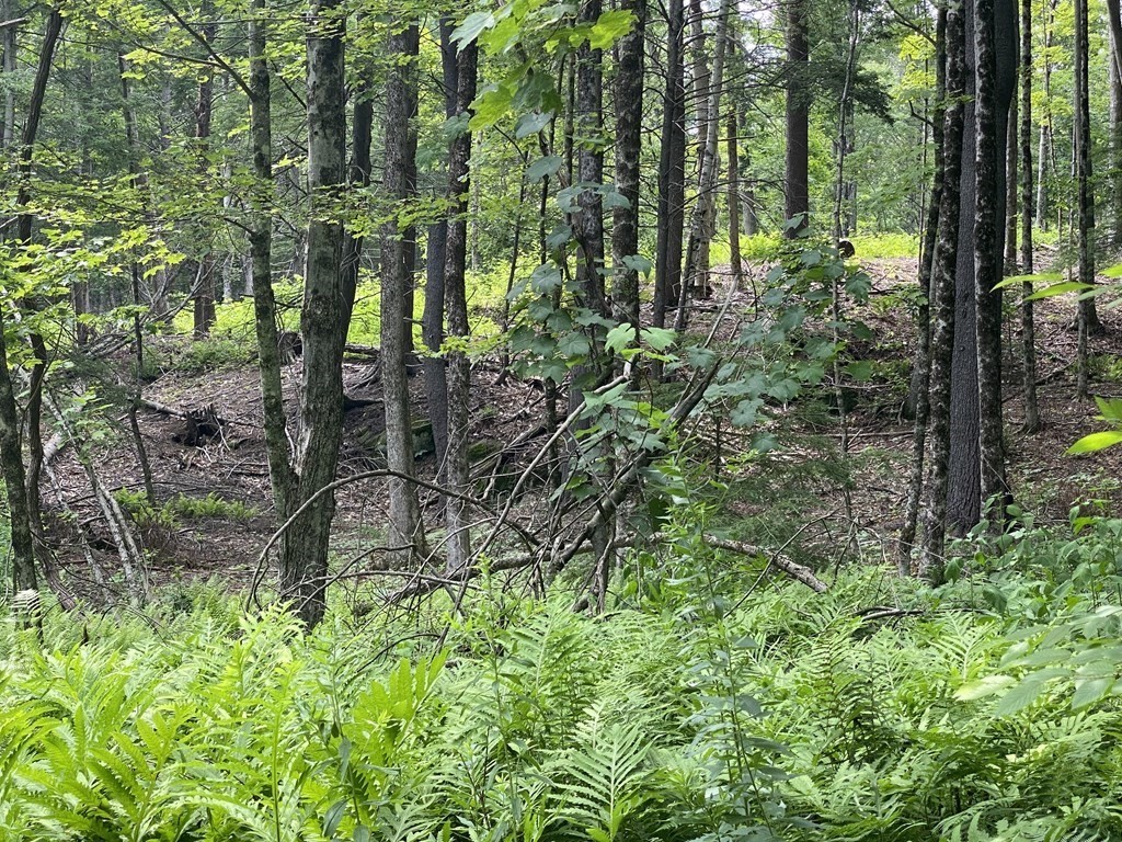 Lot 2 Howes Road Shelburne Falls, MA 01370 - Photo 11 of 14