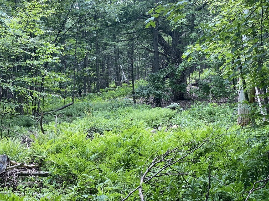 Lot 2 Howes Road Shelburne Falls, MA 01370 - Photo 12 of 14