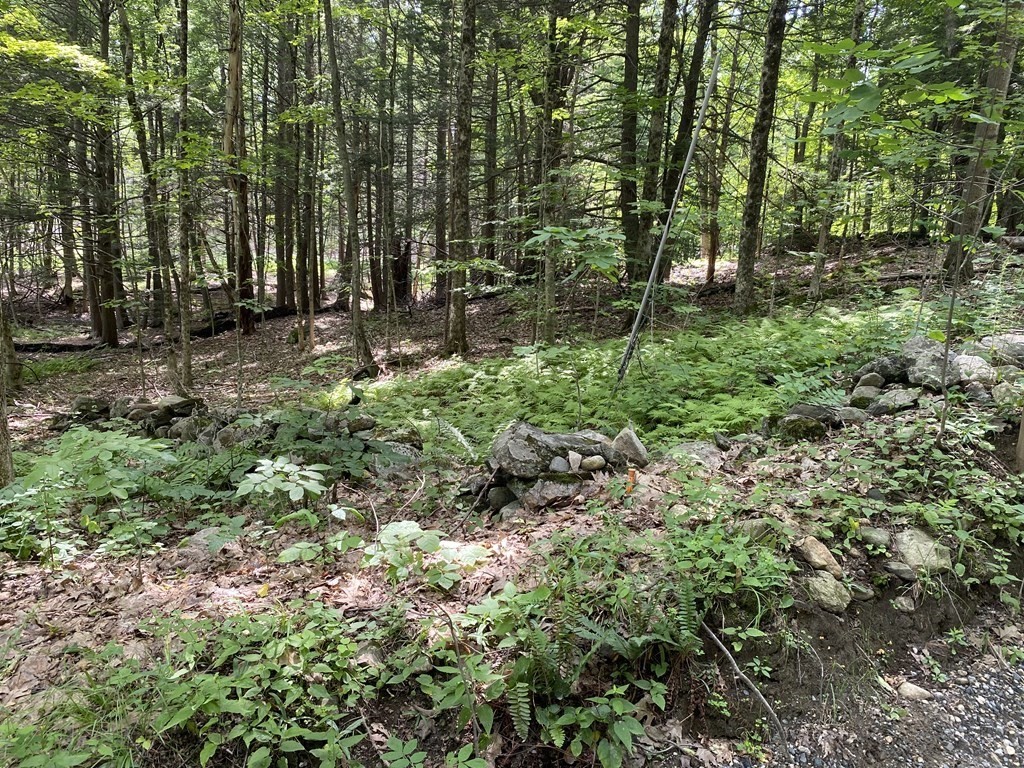 Lot 2 Howes Road Shelburne Falls, MA 01370 - Photo 3 of 14