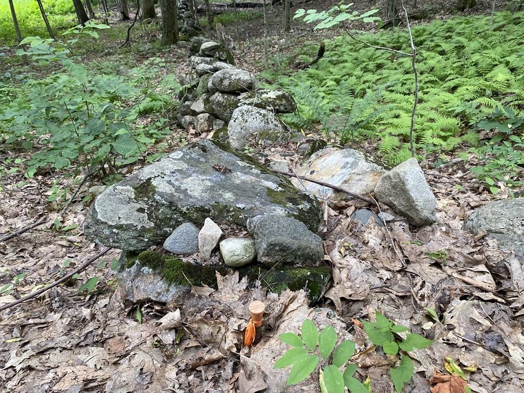 Lot 2 Howes Road Shelburne Falls, MA 01370 - Photo 4 of 14