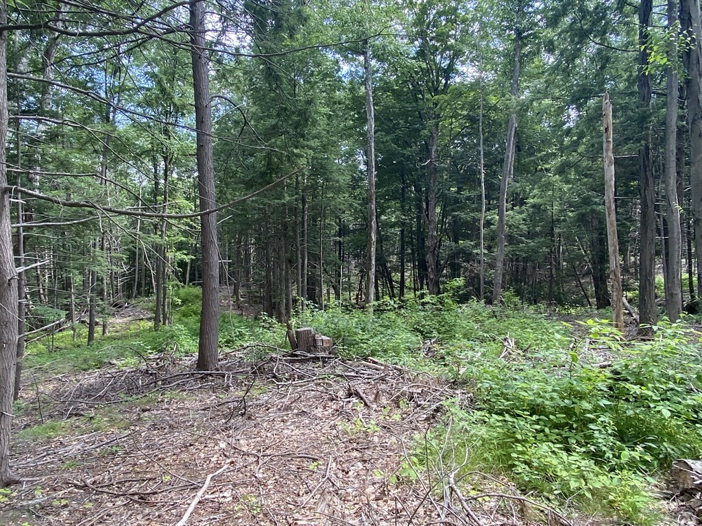 Lot 2 Howes Road Shelburne Falls, MA 01370 - Photo 6 of 14