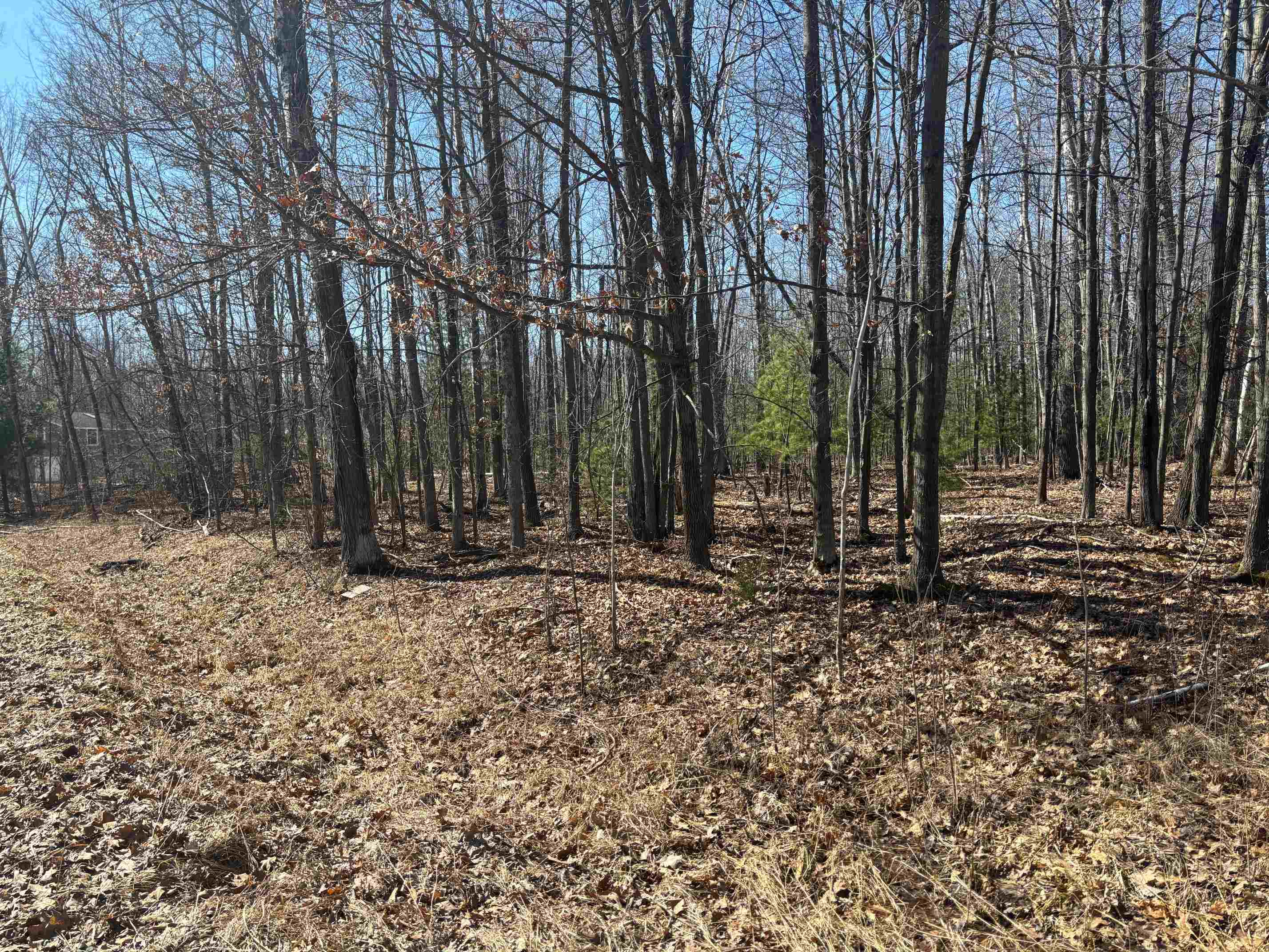Pineway Drive Gladwin, MI 48624 - Photo 2 of 6