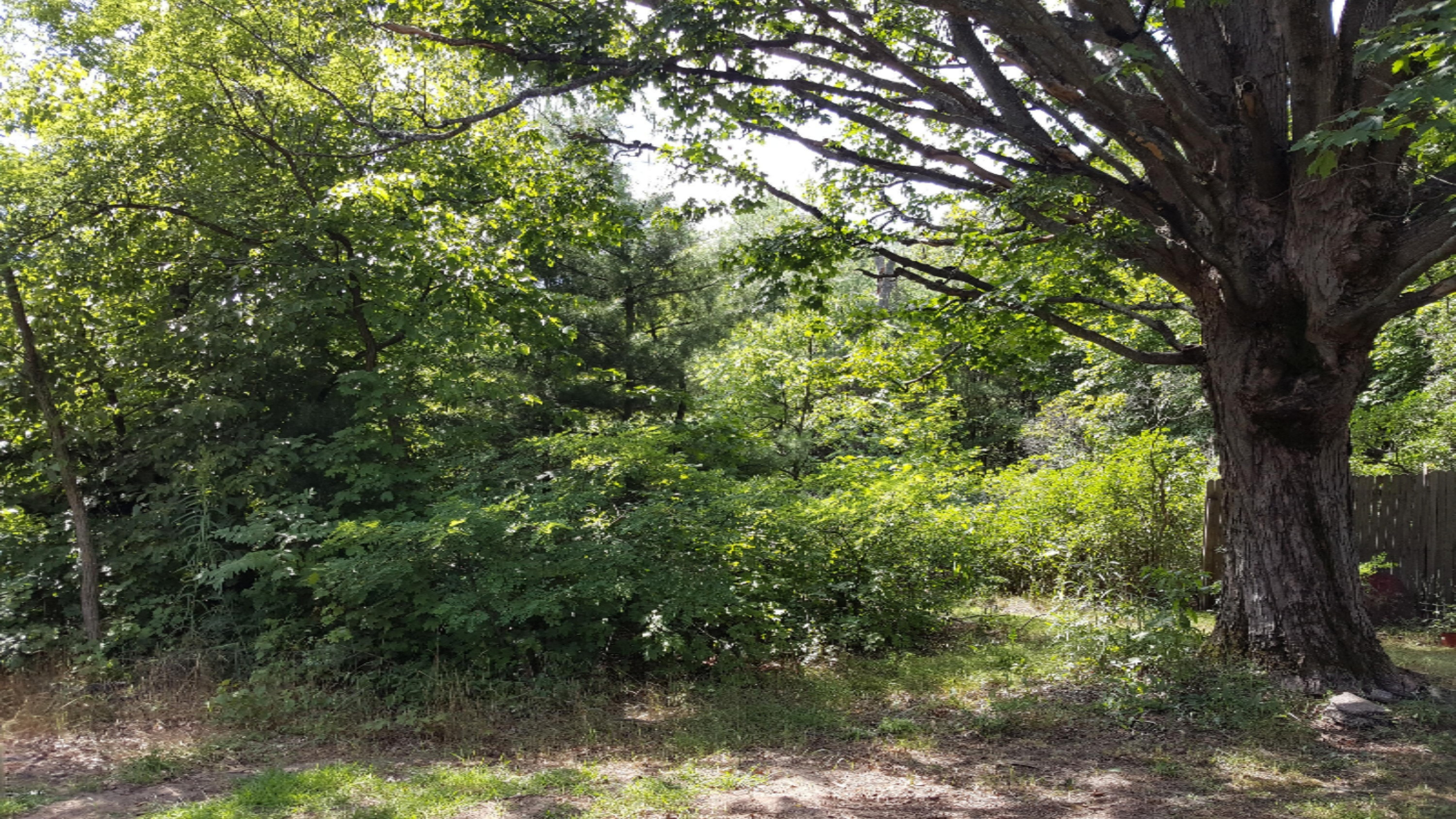 1681 Duck Lake Road Muskegon, MI 49445 - Photo 22 of 31 20170815_150830
