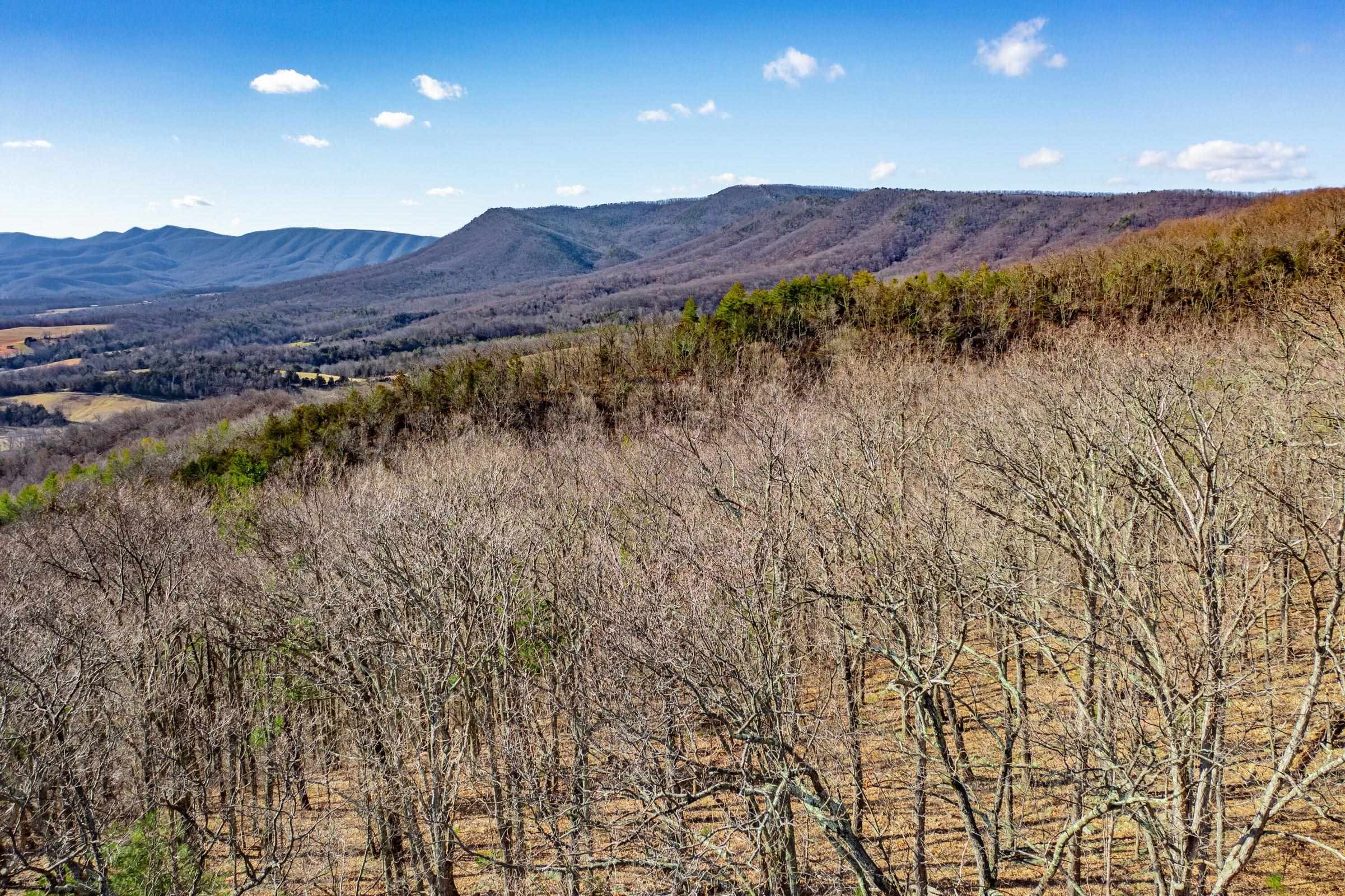 Tbd Shake Rag Road Lexington, VA 24450 - Photo 3 of 13 Gallery Image 3
