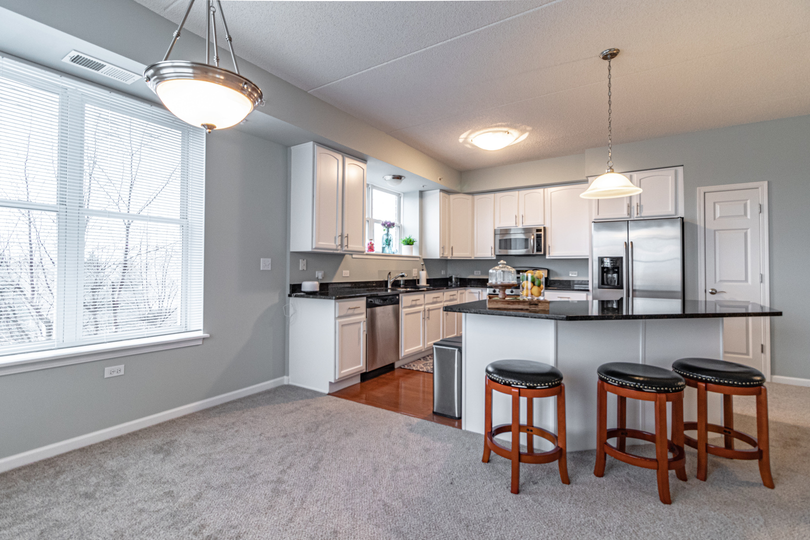 77 North Quentin Road, Unit 302 Palatine, IL 60067 - Photo 7 of 28
