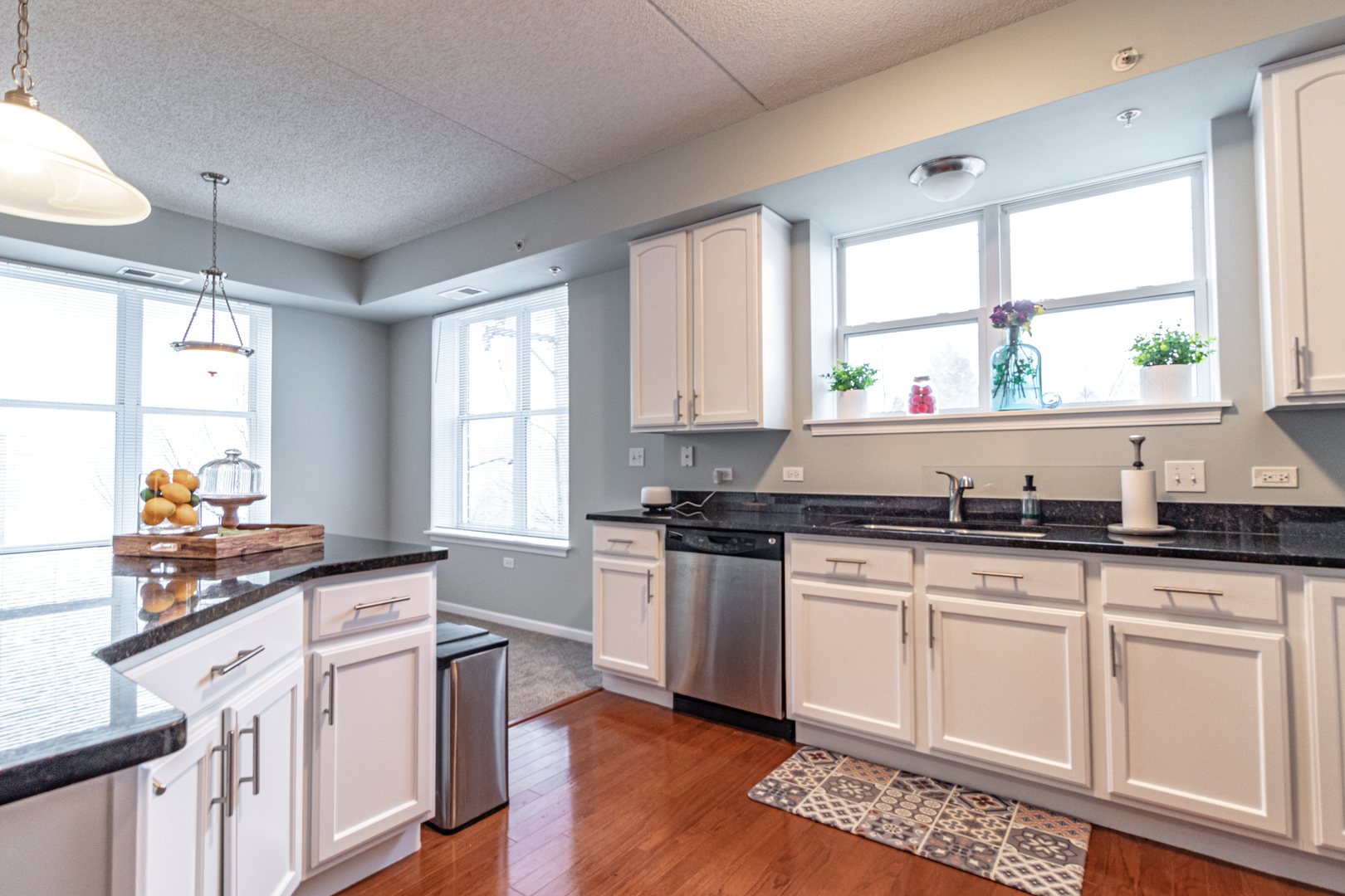 77 North Quentin Road, Unit 302 Palatine, IL 60067 - Photo 8 of 28