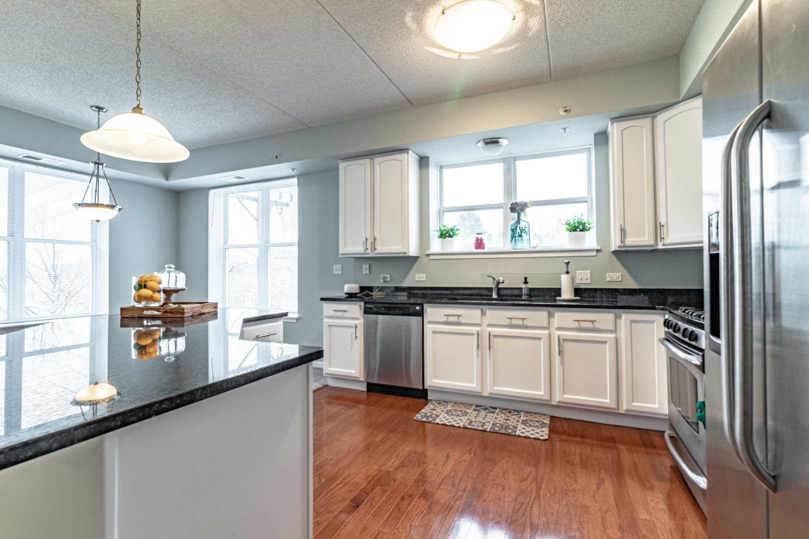 77 North Quentin Road, Unit 302 Palatine, IL 60067 - Photo 9 of 28