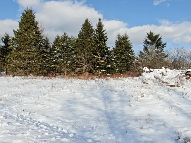 $383,500 | Lot 50 Dublin Street, Machias, ME 04654