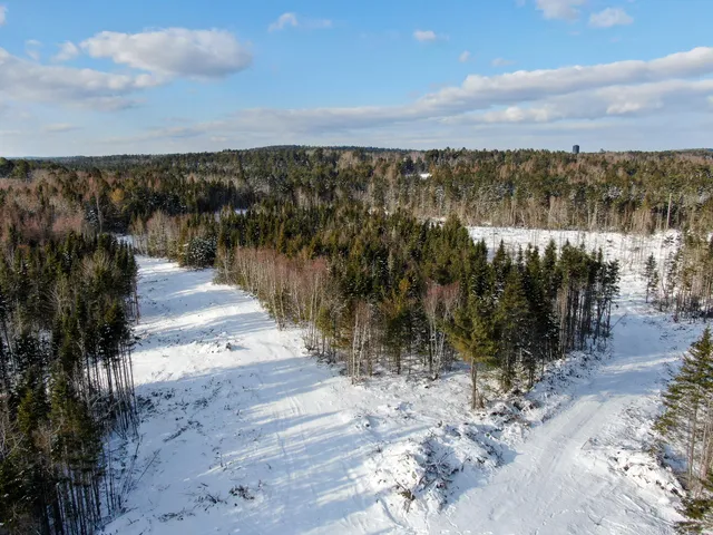 $383,500 | Lot 50 Dublin Street, Machias, ME 04654