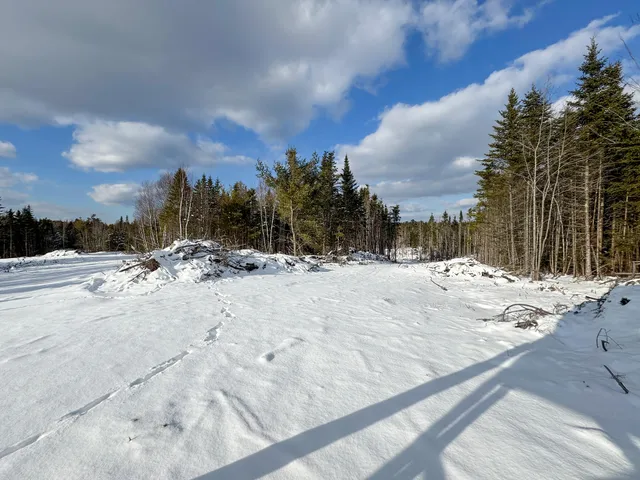$383,500 | Lot 50 Dublin Street, Machias, ME 04654