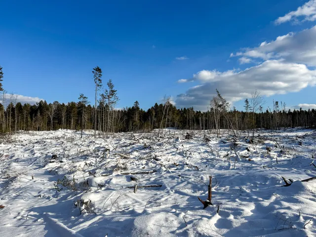 $383,500 | Lot 50 Dublin Street, Machias, ME 04654