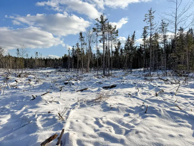 $383,500 | Lot 50 Dublin Street, Machias, ME 04654