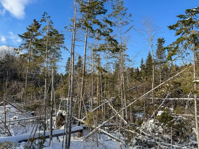 $383,500 | Lot 50 Dublin Street, Machias, ME 04654