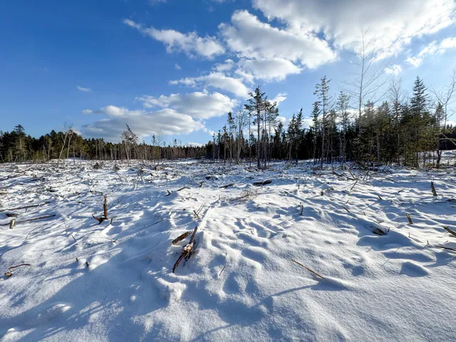 $383,500 | Lot 50 Dublin Street, Machias, ME 04654