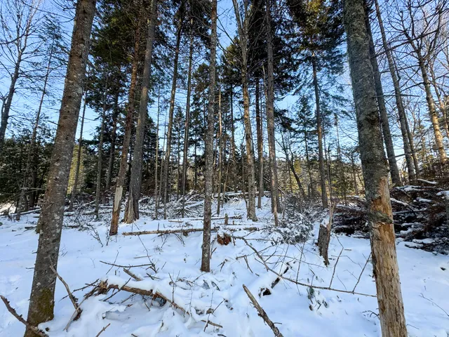 $383,500 | Lot 50 Dublin Street, Machias, ME 04654