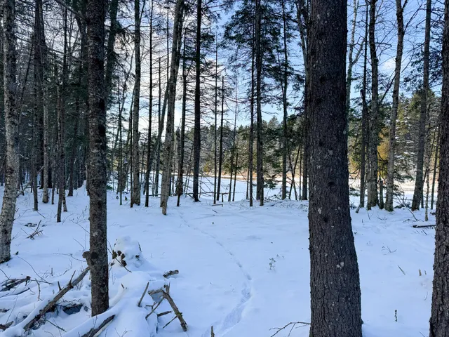 $383,500 | Lot 50 Dublin Street, Machias, ME 04654