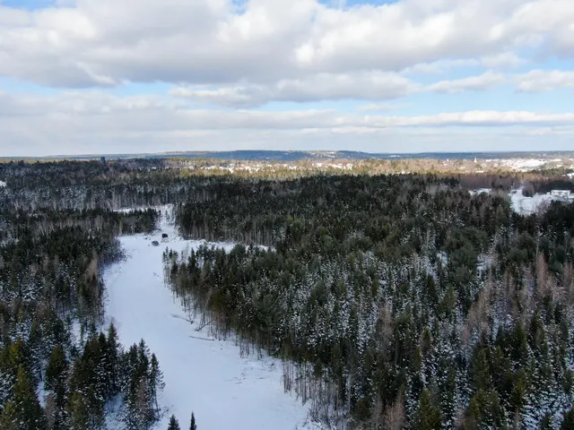 $383,500 | Lot 50 Dublin Street, Machias, ME 04654