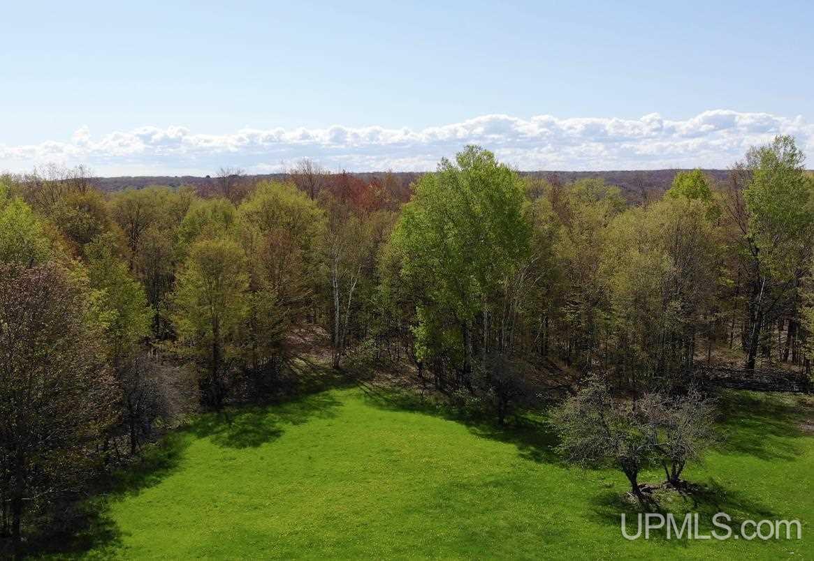 34861 Apple Seed Road, Unit TAPIOLA Chassell, MI 49916 - Photo 5 of 61