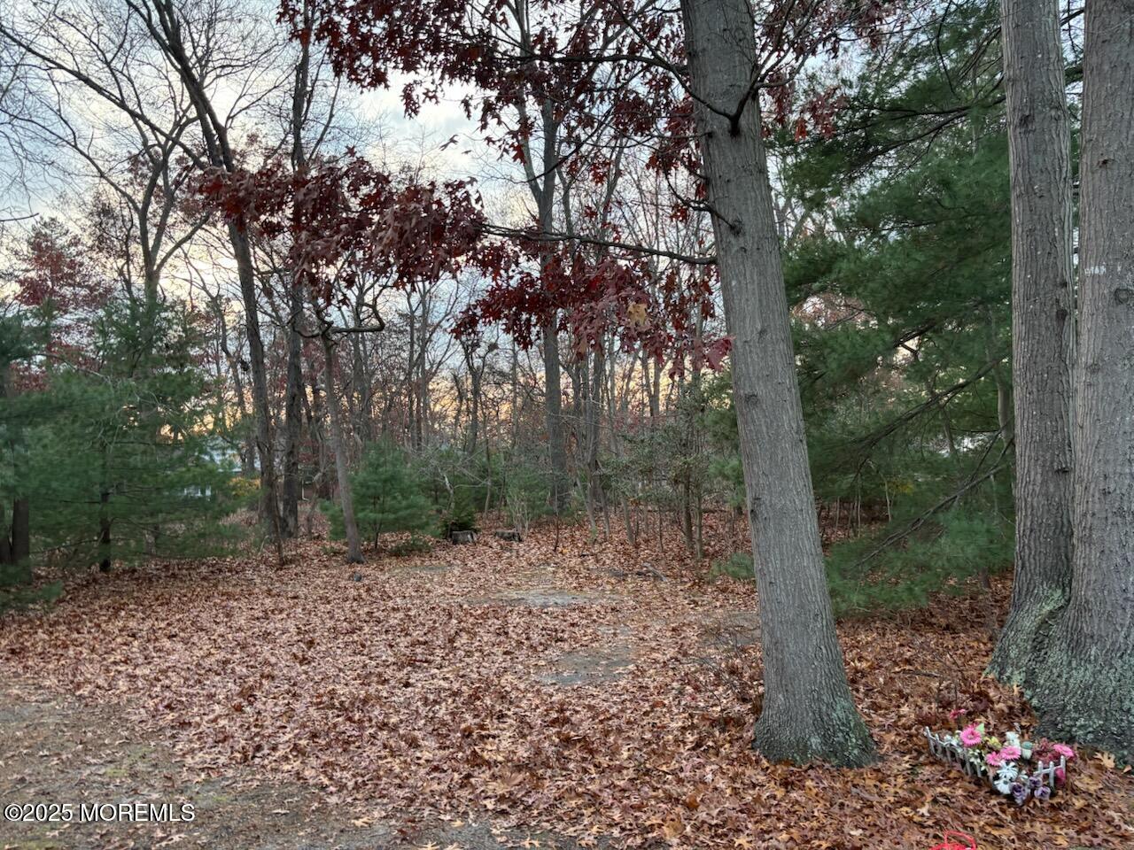 3 Swift Circle, Unit D Whiting, NJ 08759 - Photo 4 of 34 a view of a forest with trees