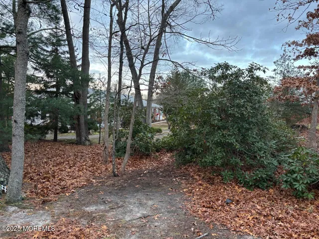 a view of a forest with trees