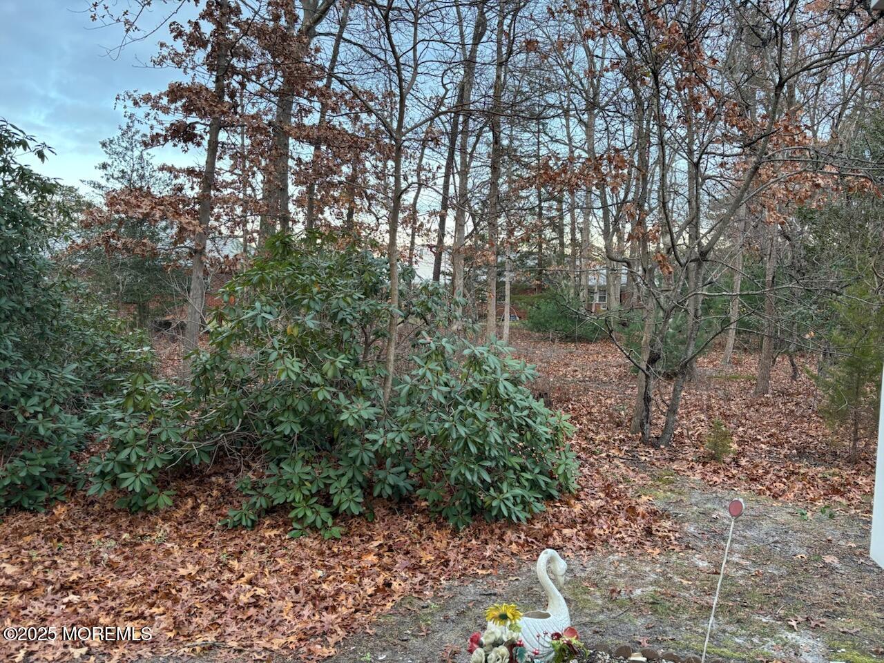 3 Swift Circle, Unit D Whiting, NJ 08759 - Photo 6 of 34 a view of a forest with trees