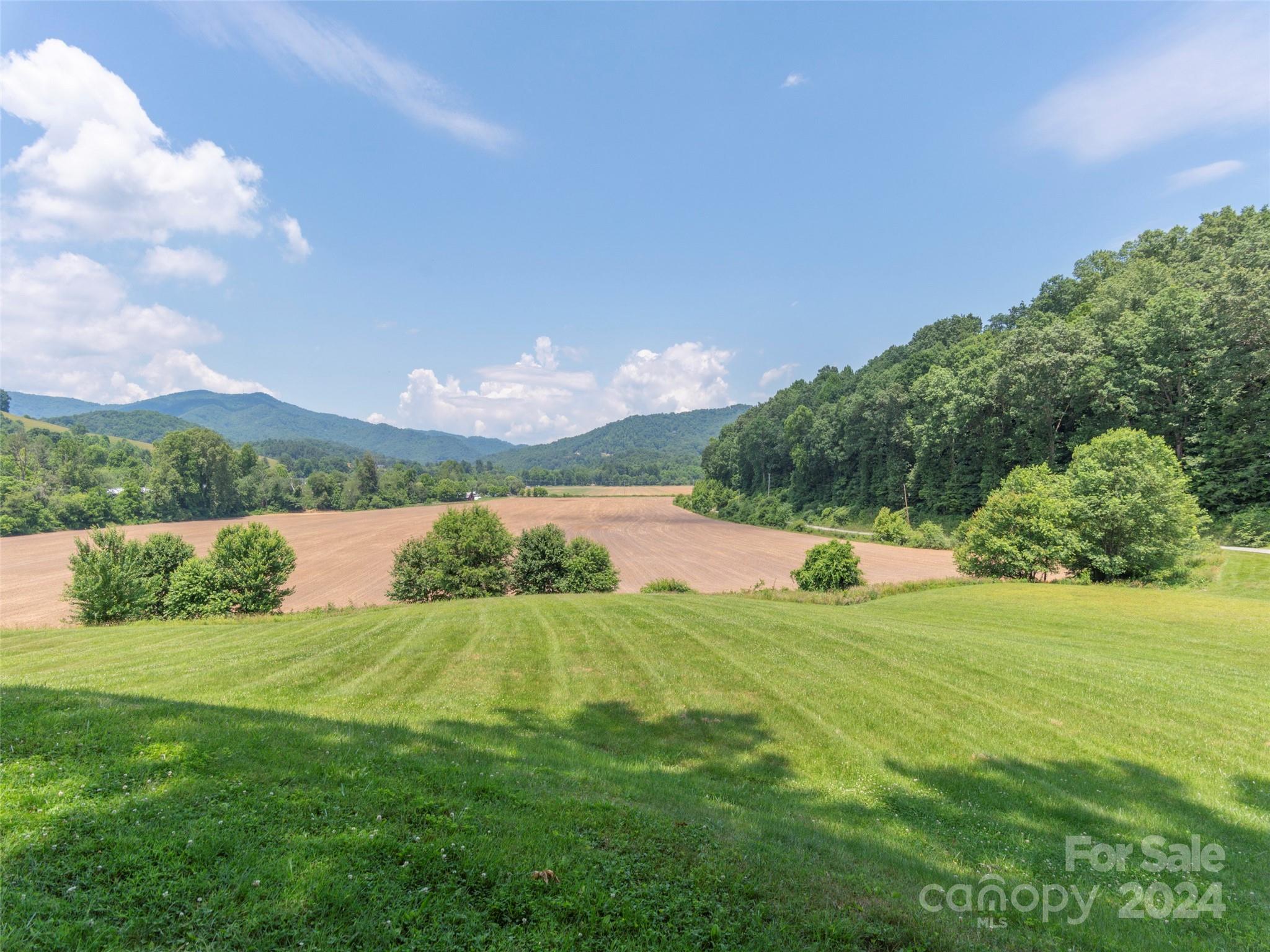 350 Shady Ridge Road Waynesville, NC 28785 - Photo 20 of 22 Gallery Image 20