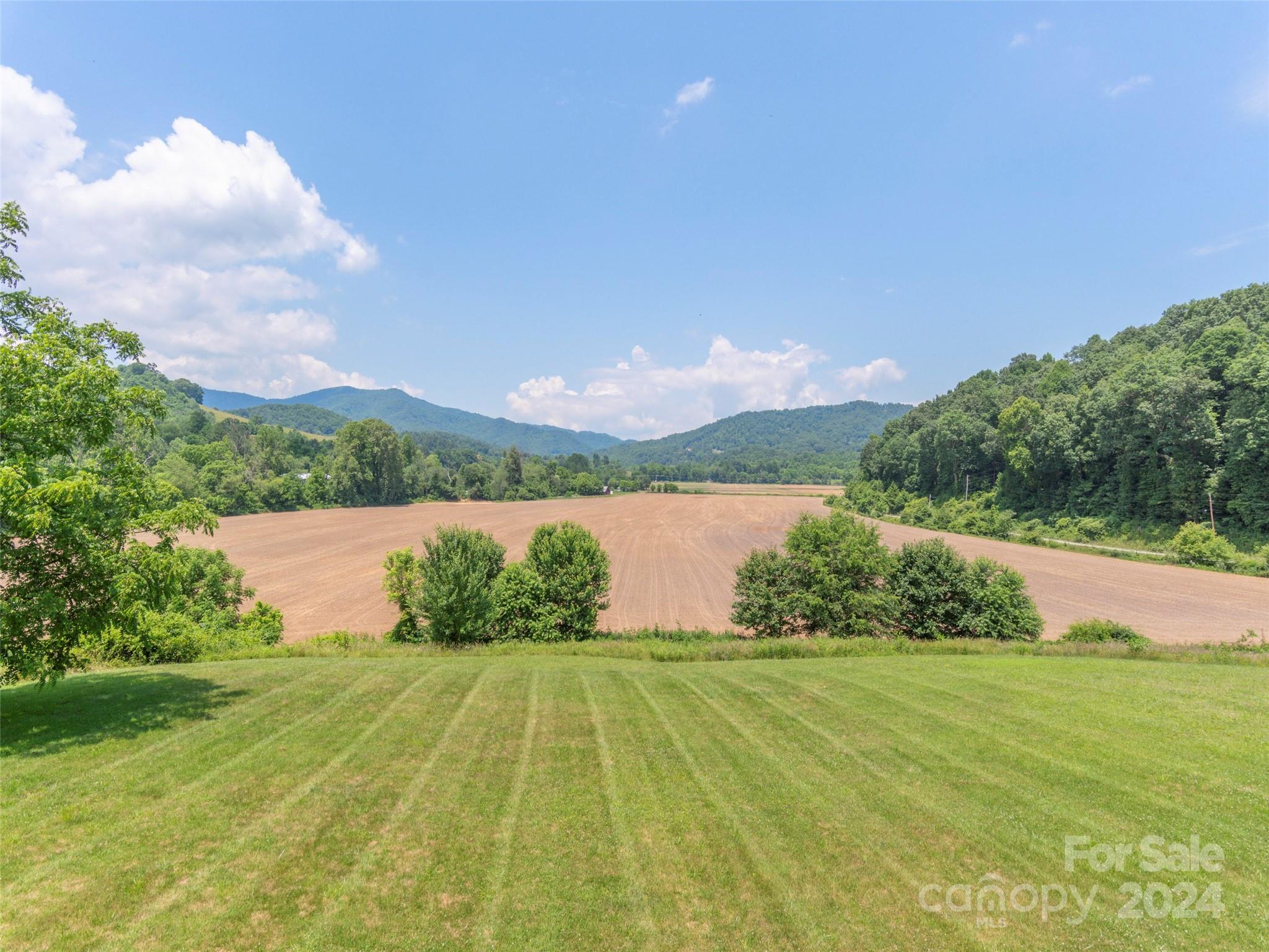 350 Shady Ridge Road Waynesville, NC 28785 - Photo 3 of 22 Gallery Image 3