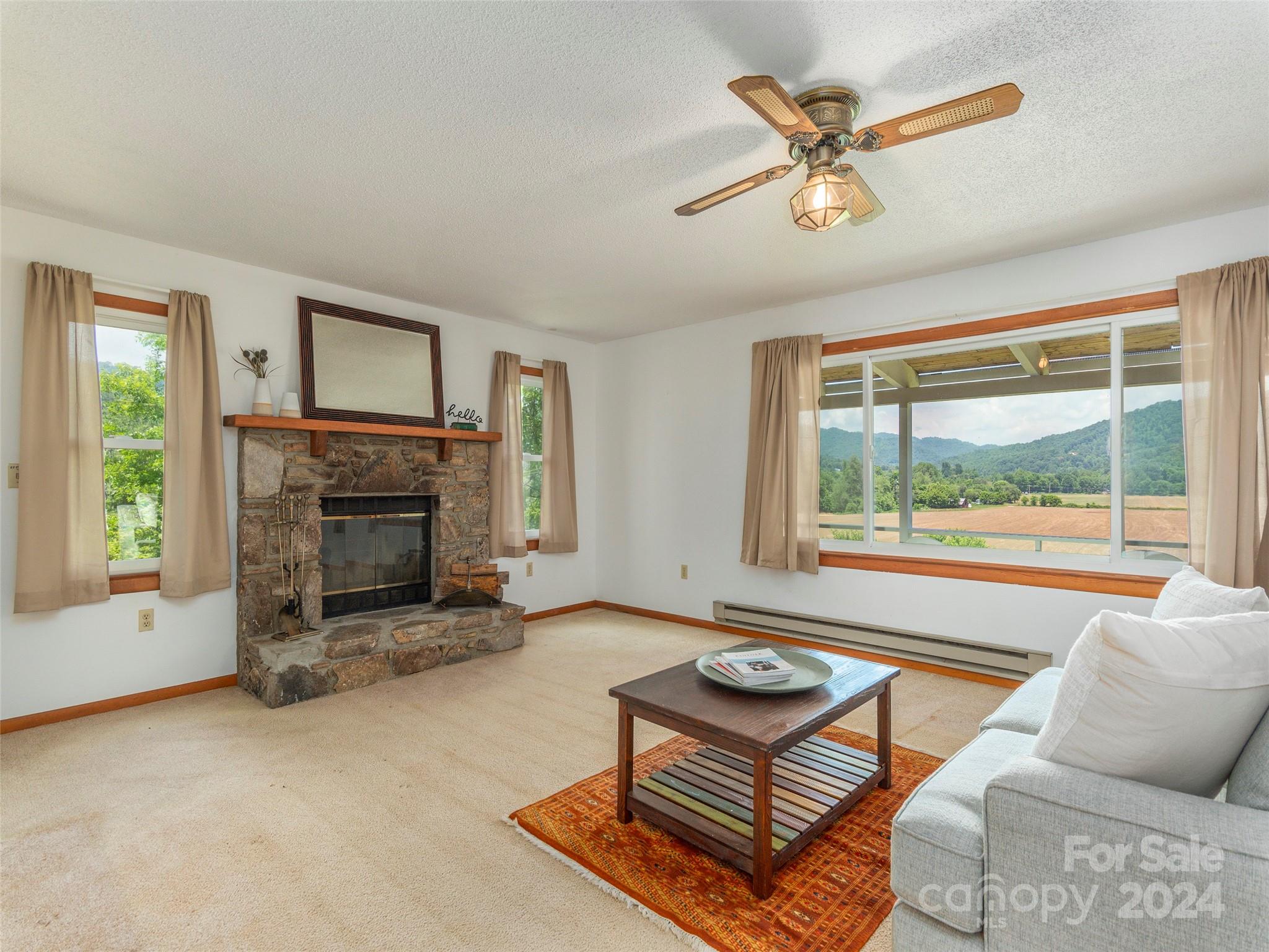 350 Shady Ridge Road Waynesville, NC 28785 - Photo 5 of 22 Gallery Image 5