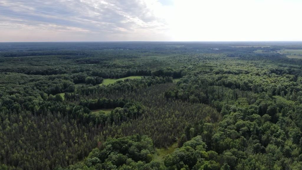 178375 Mission Lake Road Eland, WI 54427 - Photo 13 of 21